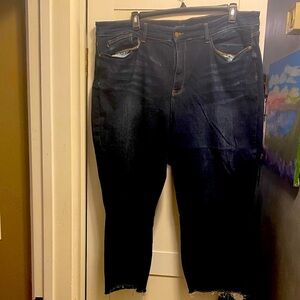 Dark Judy Blue Women's Jeans 24W